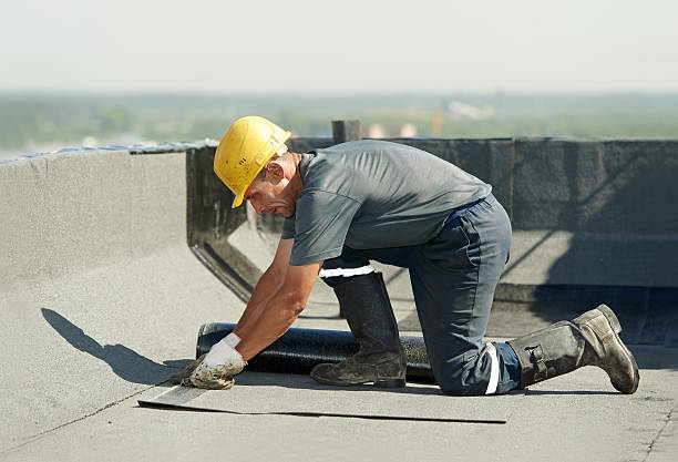 Best Types of Insulation in Mount Dora, FL